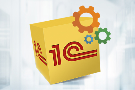 Поддержка 1С